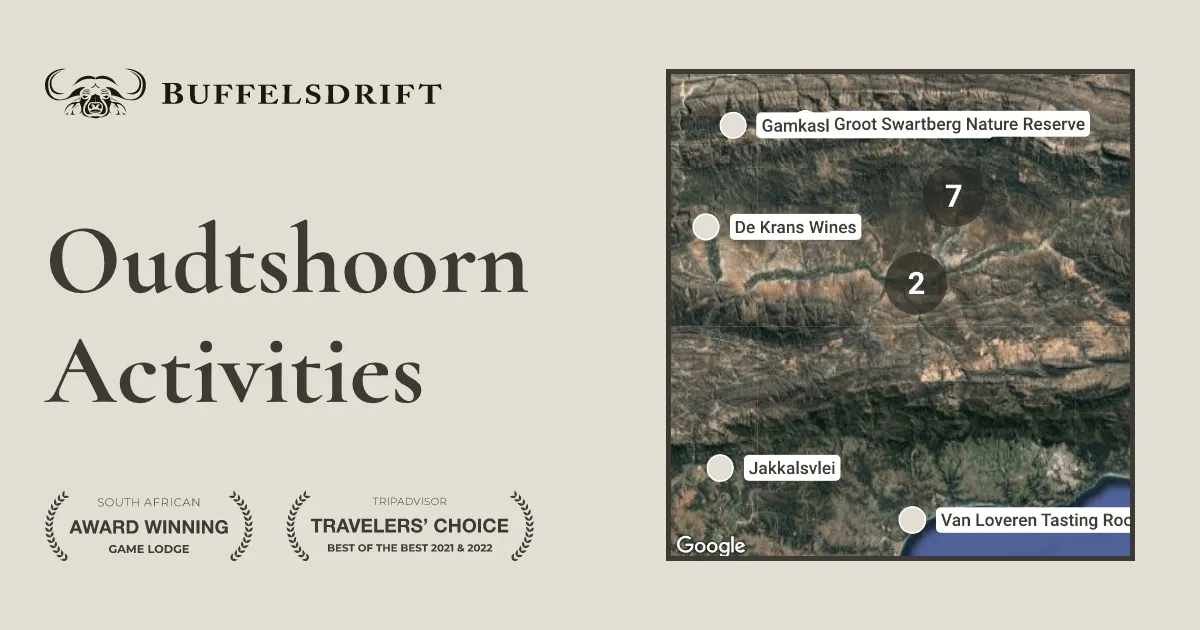 Oudtshoorn Activities